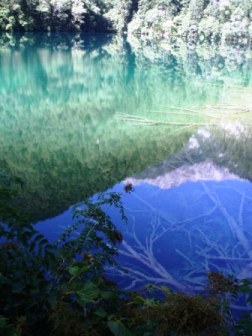 九寨溝熊猫海