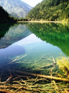 九寨溝（きゅうさいこう）の画像5