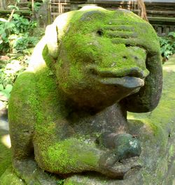 バリ島格安情報