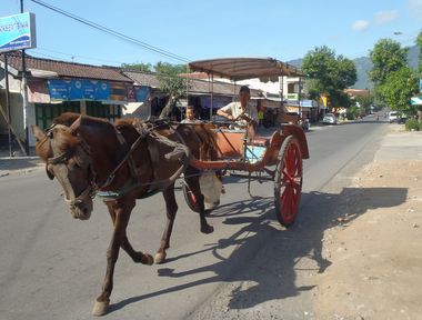 ボロブドゥールの馬車