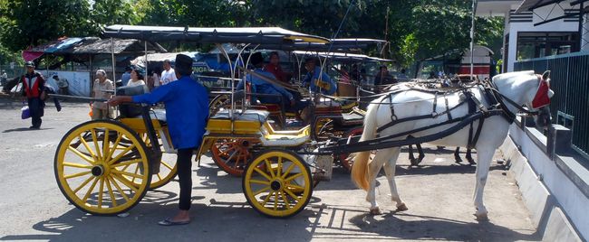 プランバナン遺跡公園内の馬車