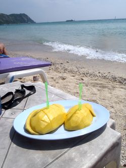 パタヤ沖のラン島で