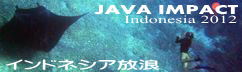 JAVA IMPACT