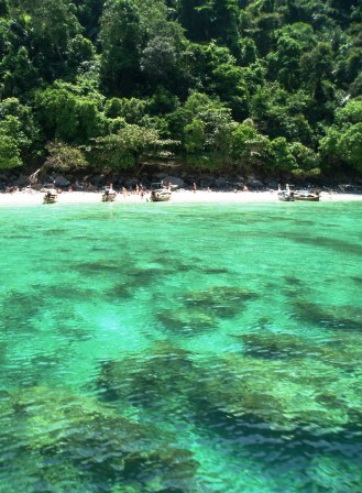 ピピドン島　陸の孤島エリア